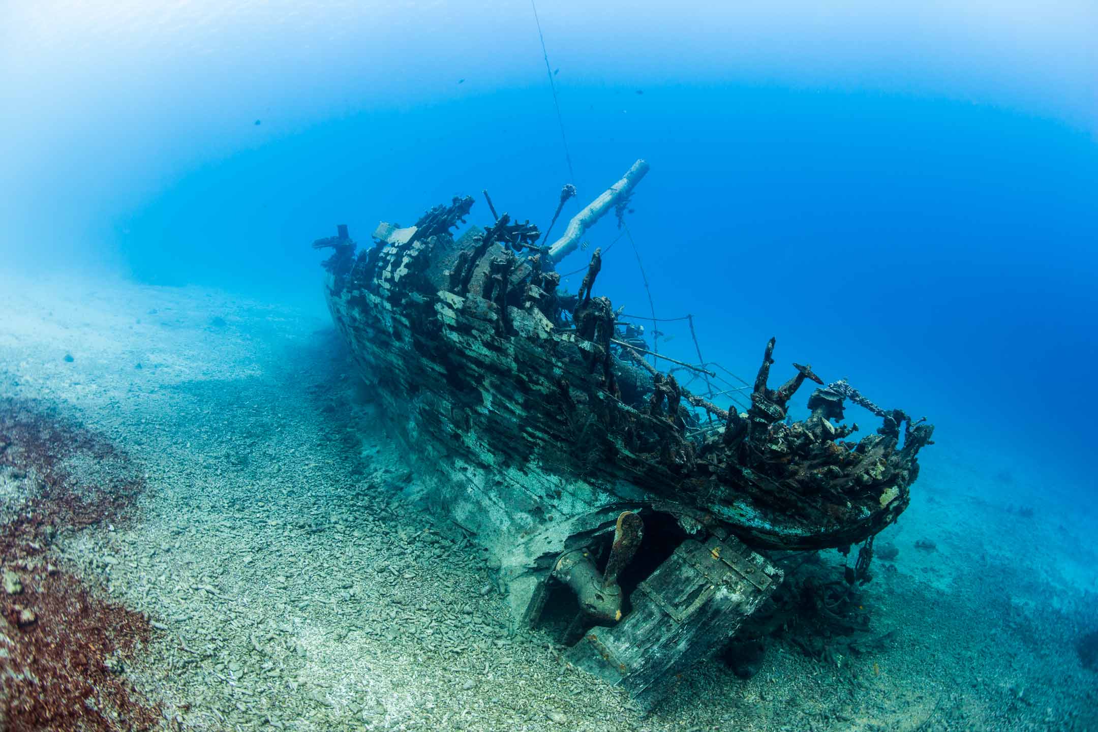 blue wreck | bonaire
