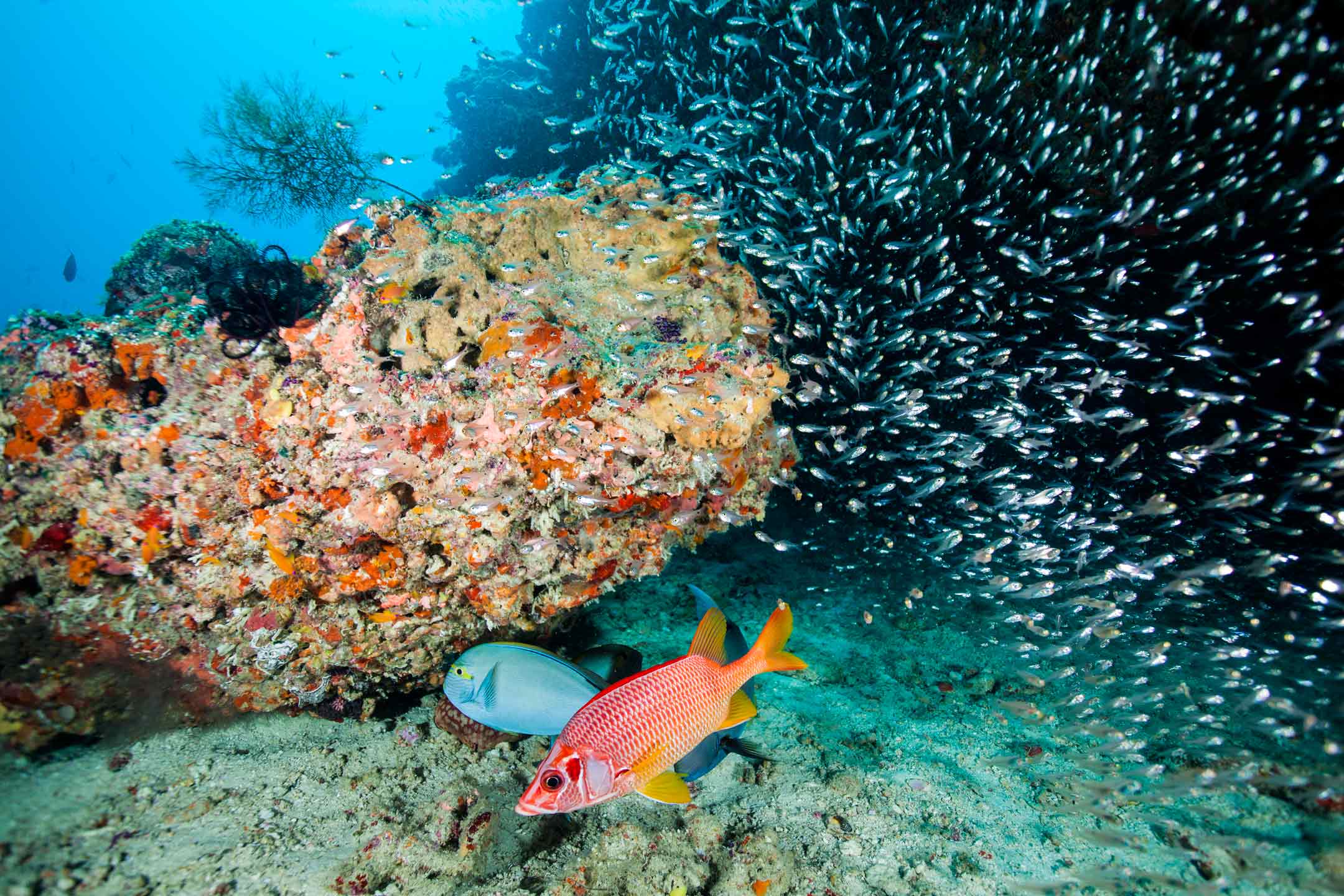 glass fish cave | south ari