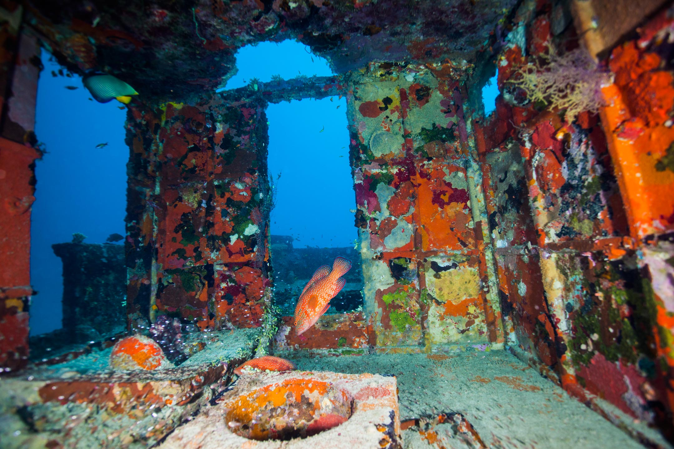 no shelter | south ari